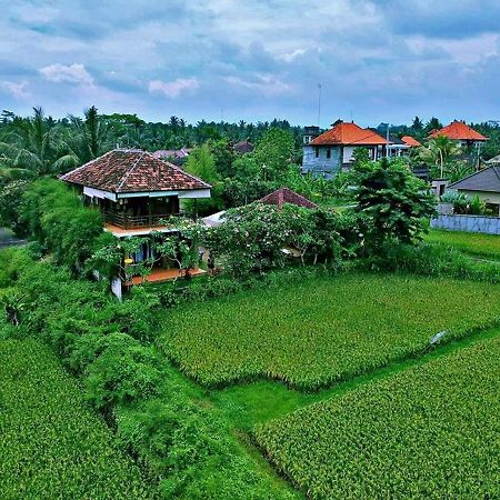 White Villa Ubud Экстерьер фото