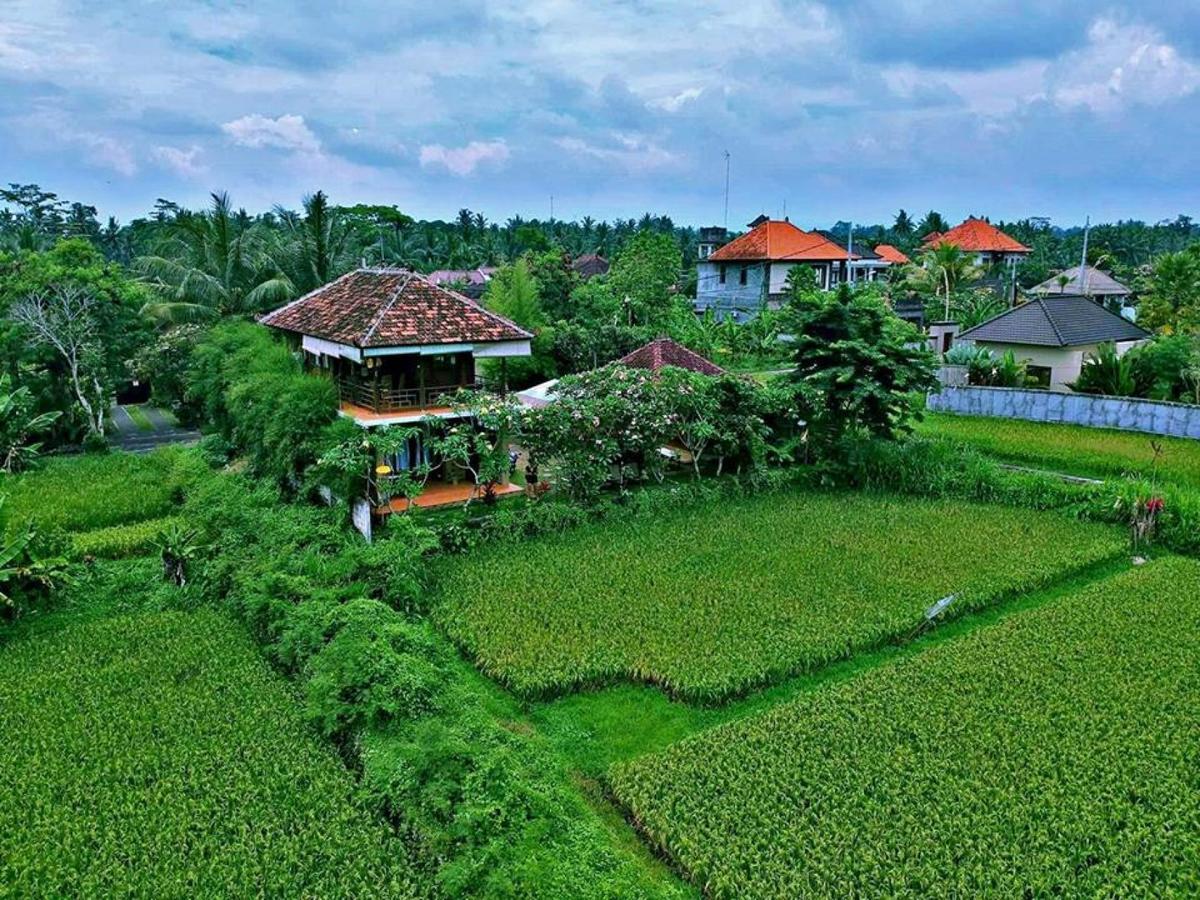 White Villa Ubud Экстерьер фото