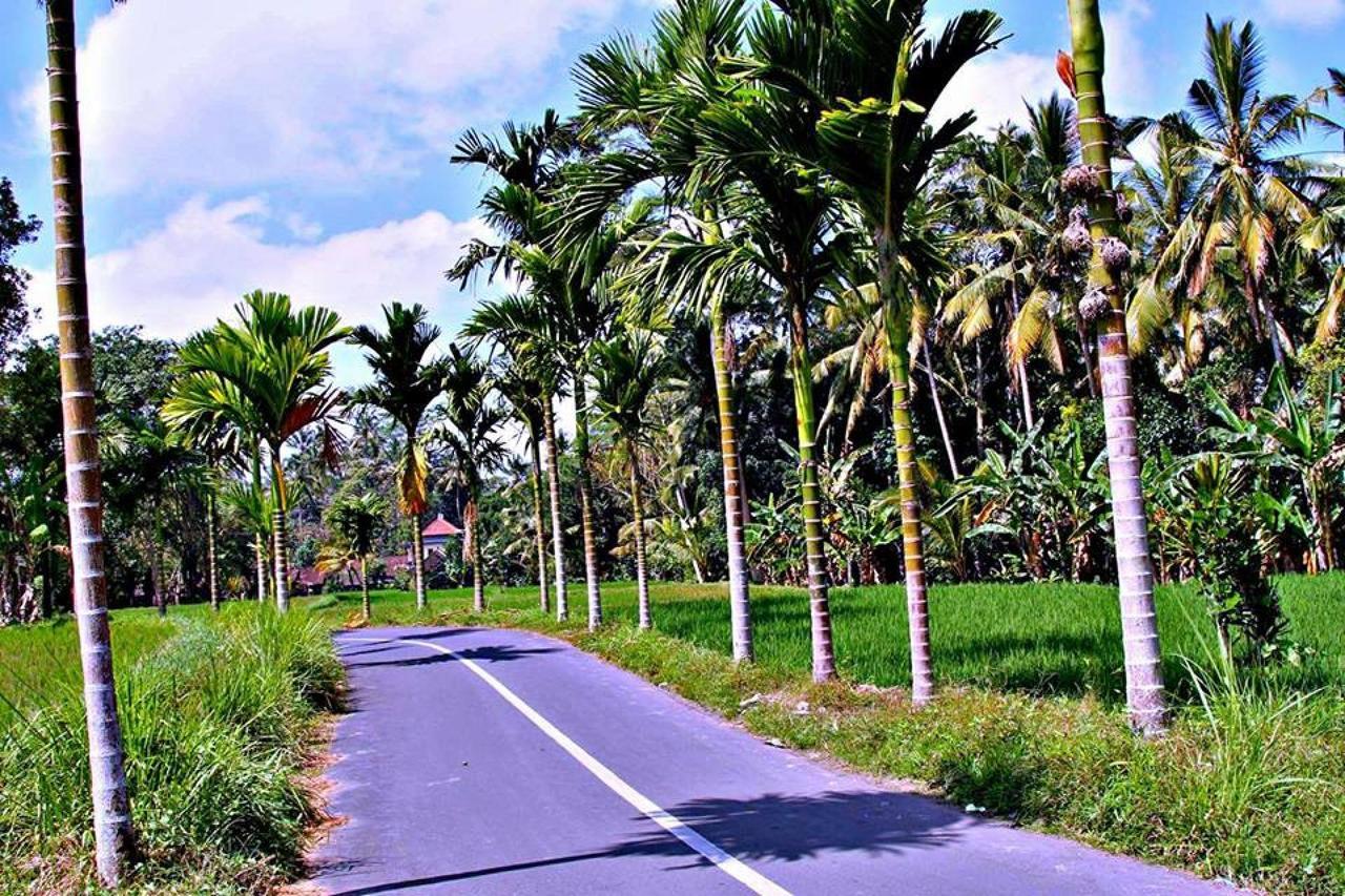 White Villa Ubud Экстерьер фото