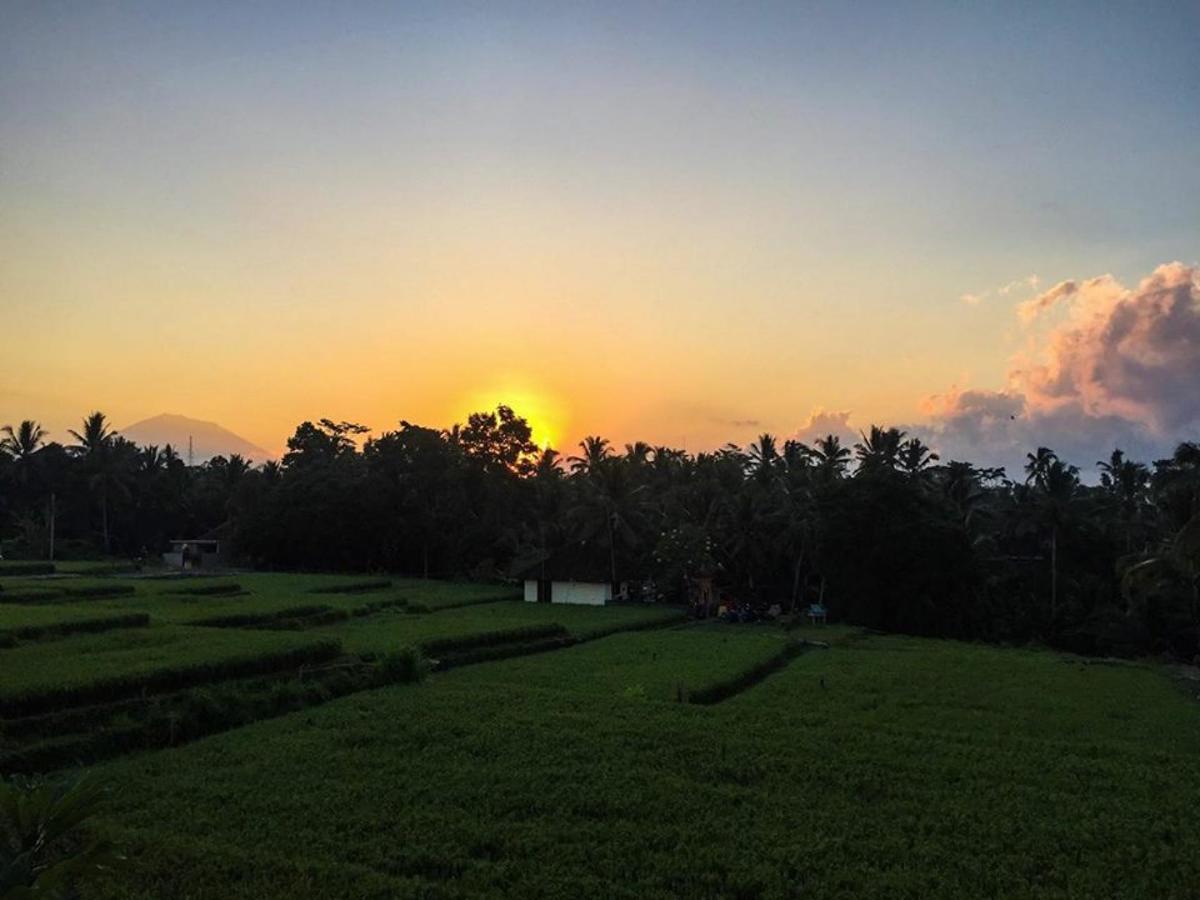 White Villa Ubud Экстерьер фото